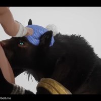 Hipster Werewolf Monster Sucks n Fucks Gay Combat Veteran Wildlife Animation Game Play