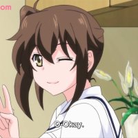 UNCENSORED ANIME COLLECTION