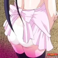 Hentai pros