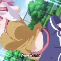 Rule 34