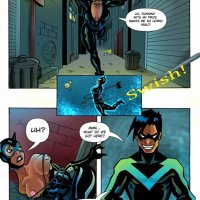 Nightwing and Catwoman Porn Comics
