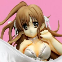The Men Who Nut on Anime Figurines
