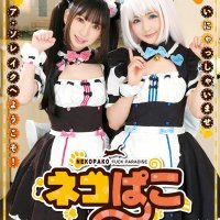 J-Lists Top 11 Hentai Cosplay JAV Works