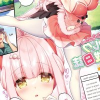 Flans Milk Breeding Diary Ringo Sui