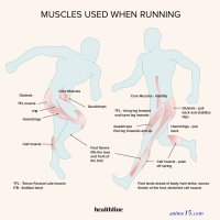 where are you running off to