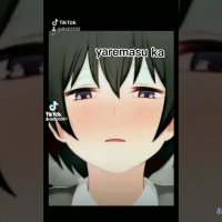 ikura de yaremasu ka