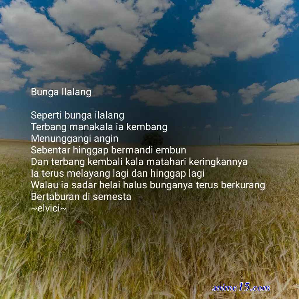 baca komik bunga menari dan angin bernyanyi