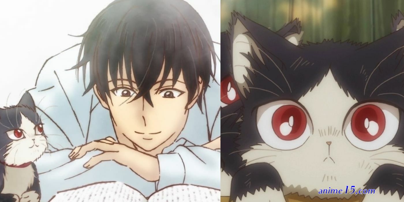 my room mate manga