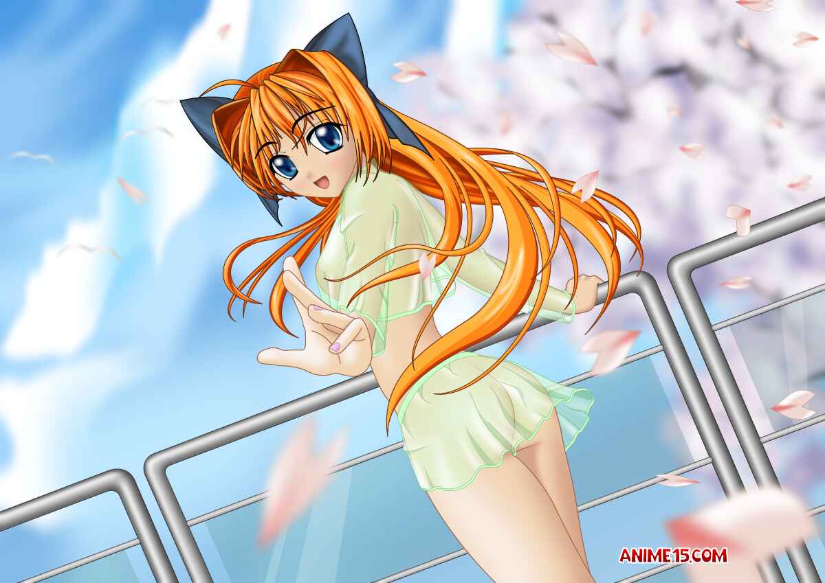 anime hentai nam 2008