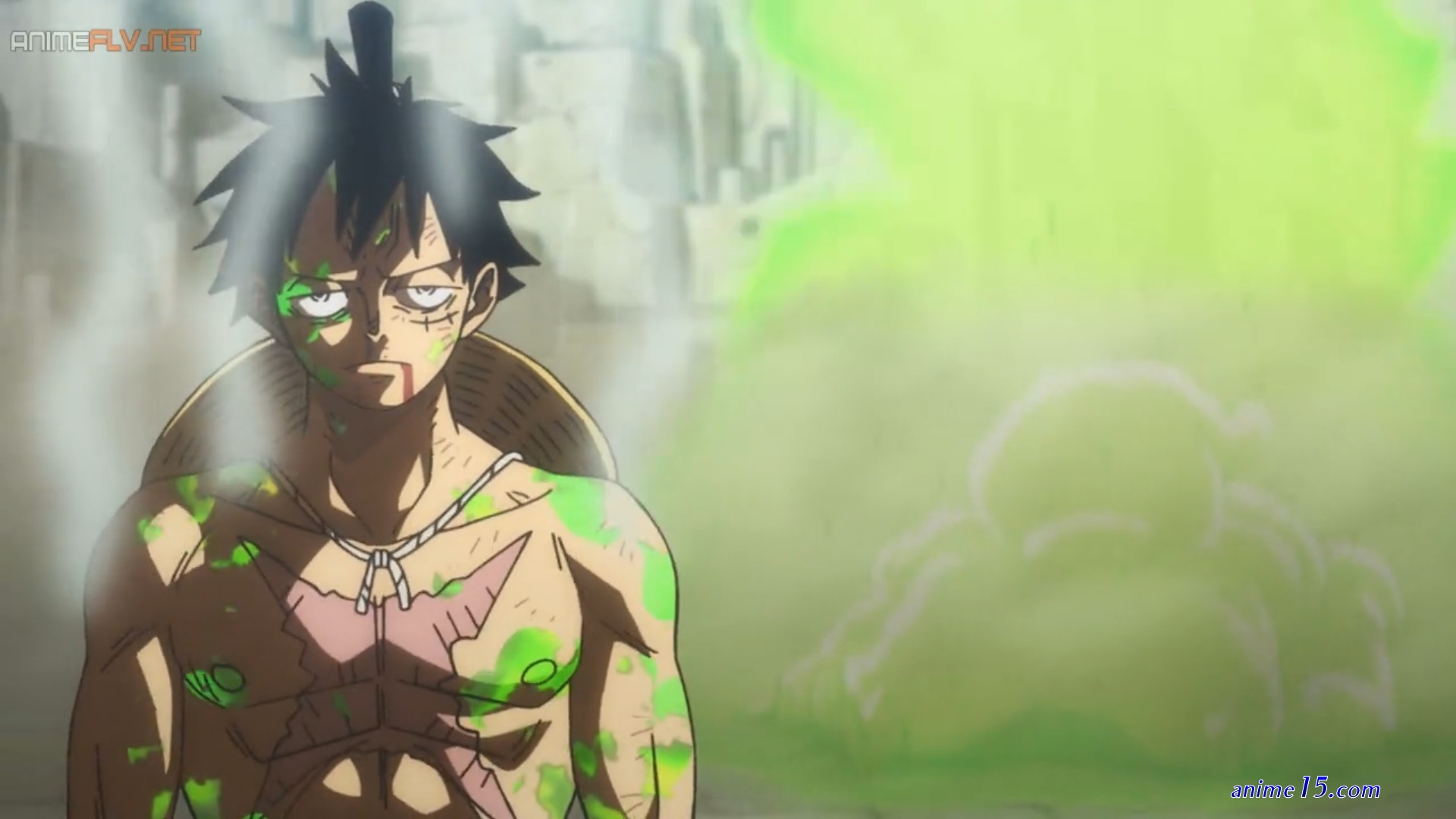 one piece animeflv
