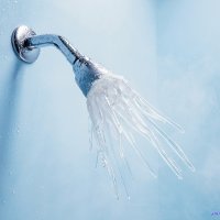 ducha de feromonas de nada