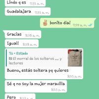 quiero ser tu solo por un dia