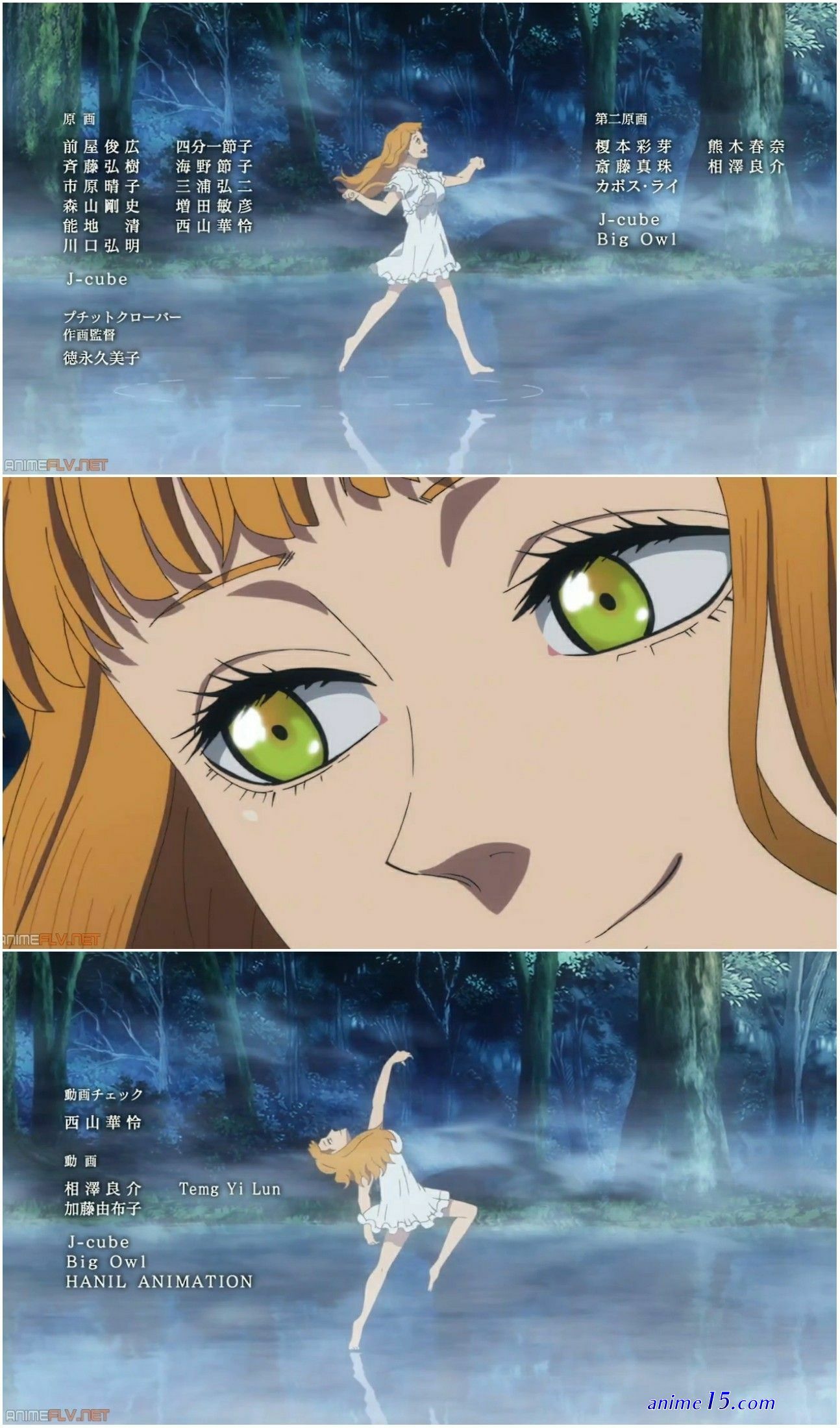 ver one piece tp1 animeflv