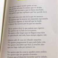 quiero ser tu solo por un dia