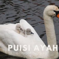 read ayah aku tidak mau menikah