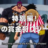 one piececap 895