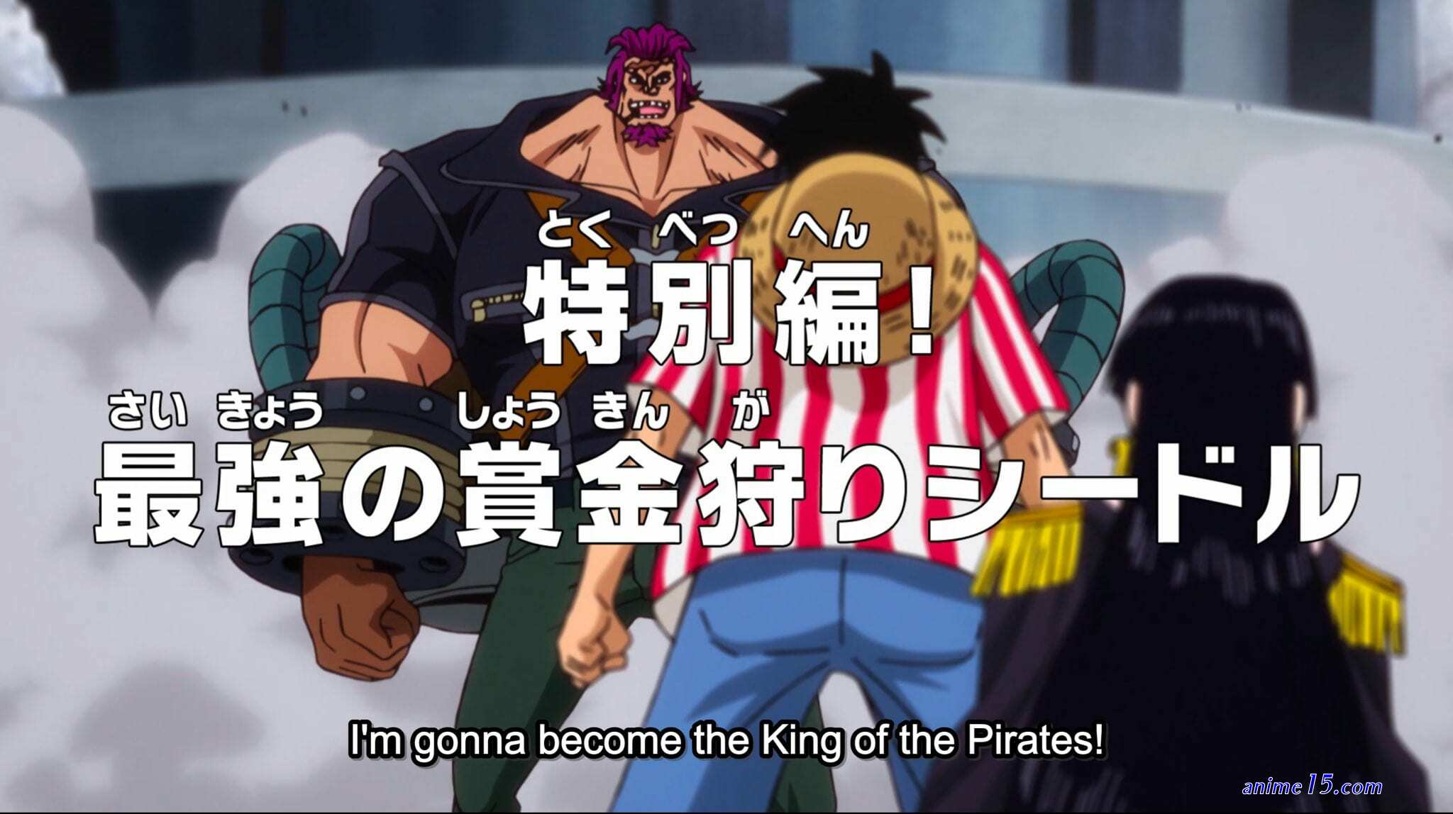 one piececap 895