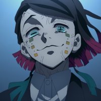 demon slayer saison2 vf