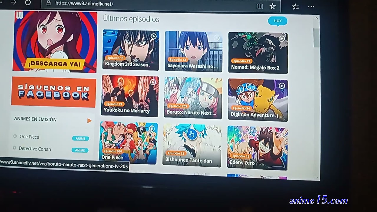 animeflv one piece capítulo 205