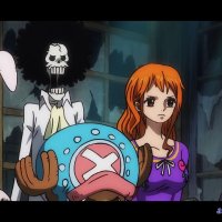 one piece 911 animeflv