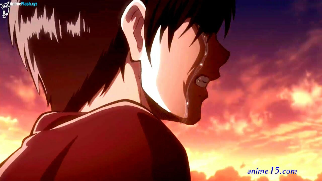 one piece cap 570 animeflaash