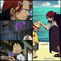 one piece 911 animeflv