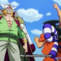 one piece episode 839 sub gogo
