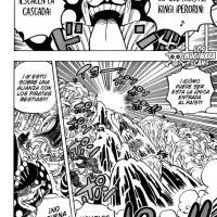 one piece cap 570 animeflaash