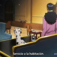 one piece 911 animeflv