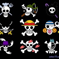 one piece 195