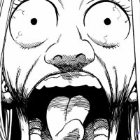 one piece capitulo 227