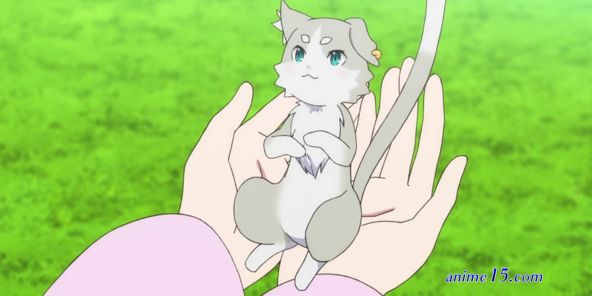 neko anime plastic nee san ep 1