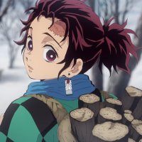 demon slayer saison2 vf