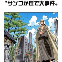 one piece 617