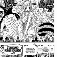 one piece 617