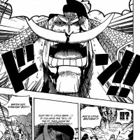 one piece 570