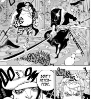 one piece 617