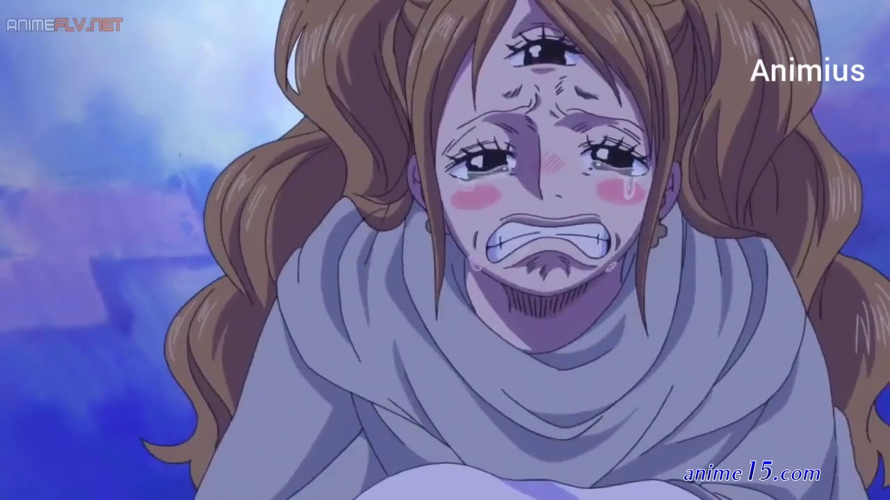 one piece 868 animeflv