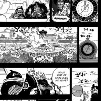 one piece 971