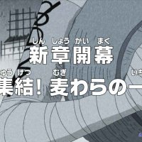one piece 517 gogoanime.pe