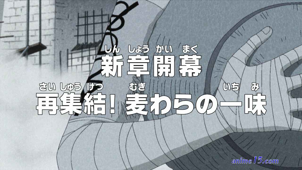 one piece 517 gogoanime.pe