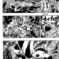 one piece 526