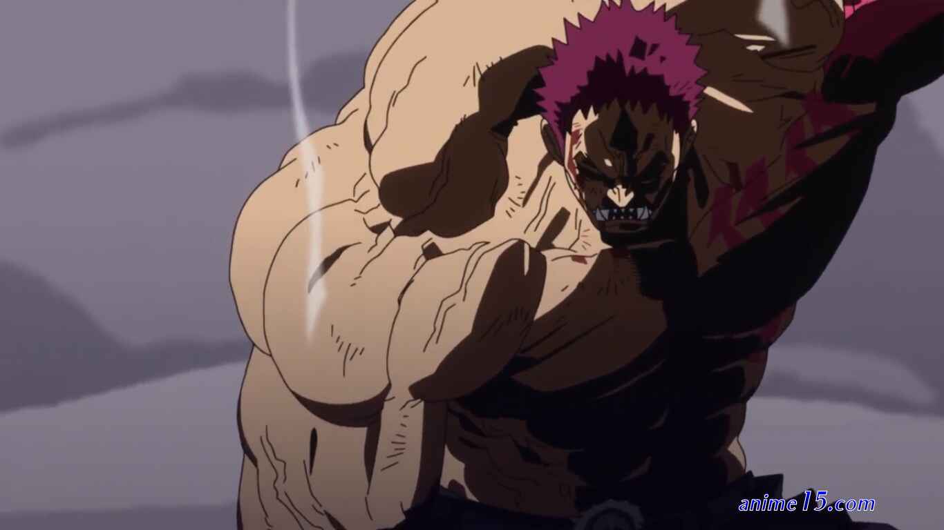 one piece episode 870