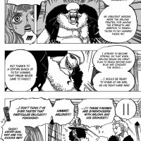 one piece 617