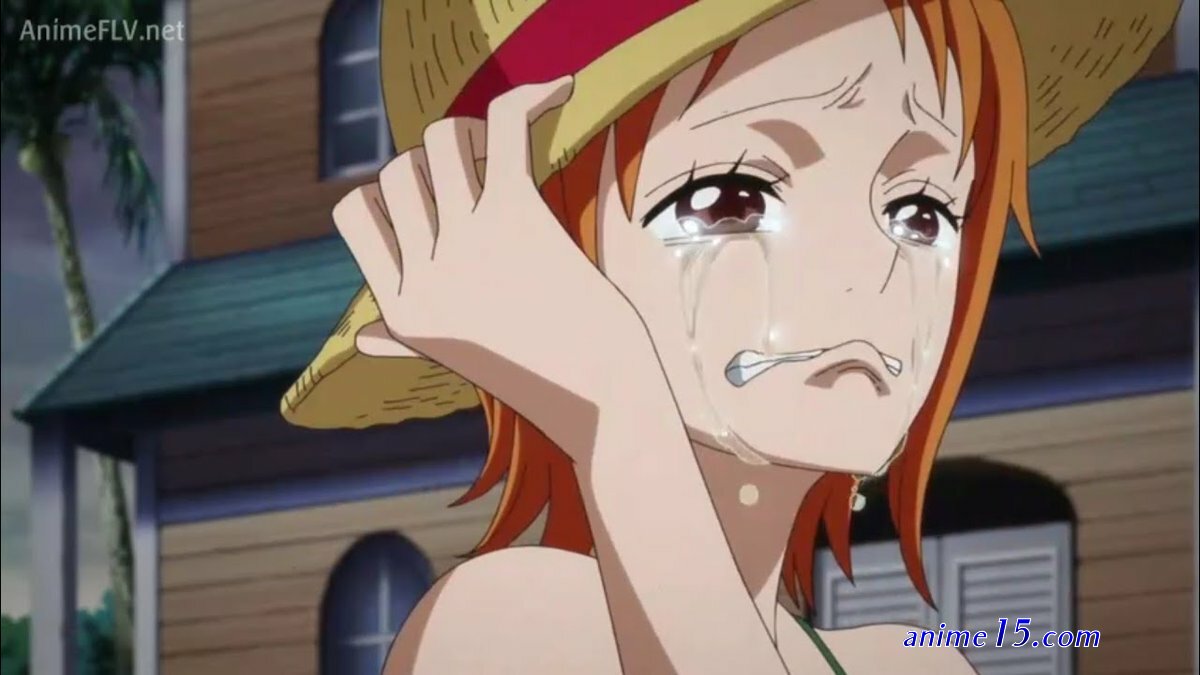 animeflv one piece capítulo 225