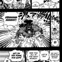 one piece 971