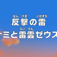 one piece 846