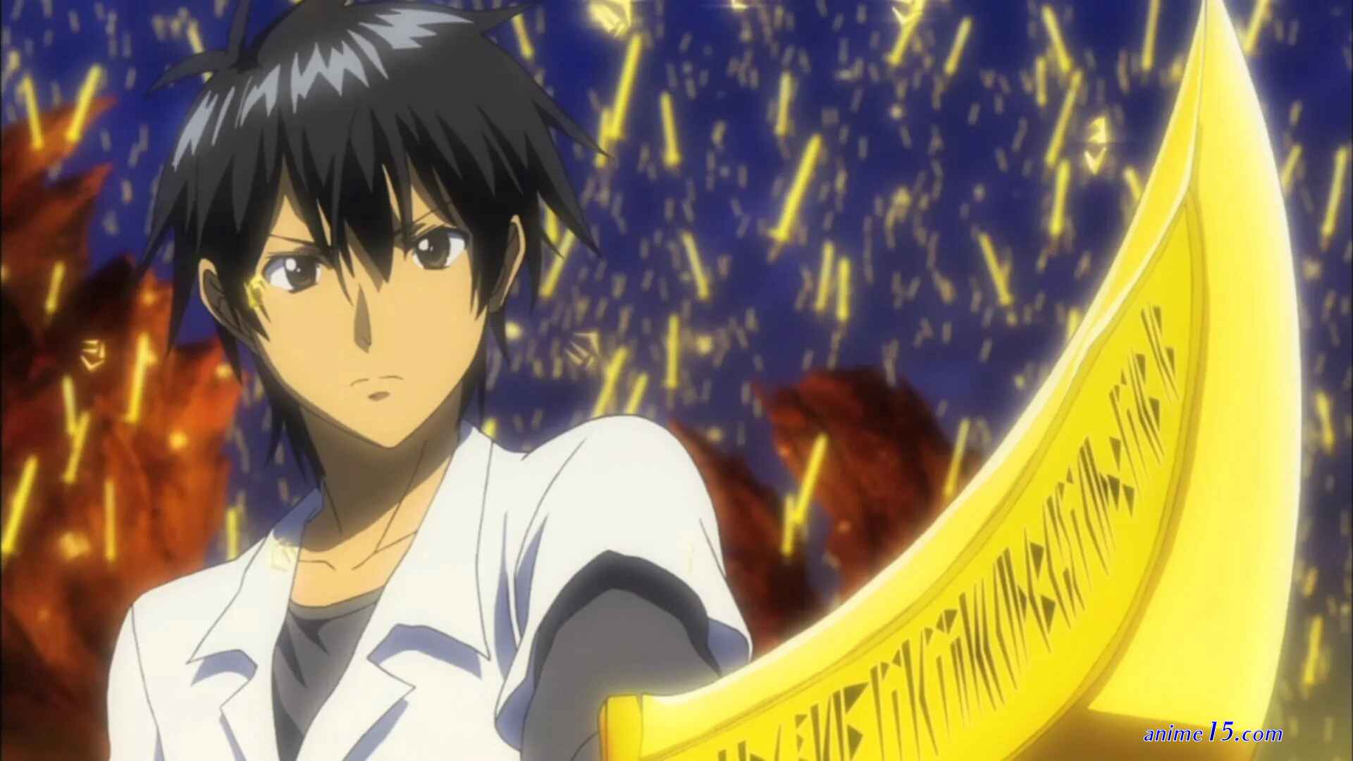 campione gogoanime
