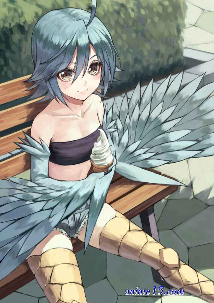 download monster musume iru nichijou