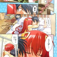 download monster musume iru nichijou
